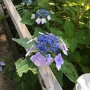 定規の日記