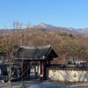 韓国滞在3日目。