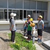 夏野菜の苗を植えました