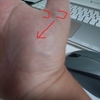 今日は涼しかったけど、これからどうなるんだろう？熱中症に気を付けないとなぁ。
