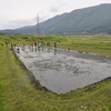 ５月３１日　田植え