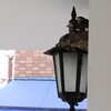 7月18日…晴れ