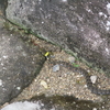 写真集＃８