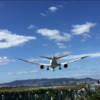 飛行機がすぐ上を通過・・・伊丹空港近くの千里川の土手に行ってきた