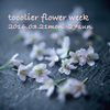 【明日からのflower week、花撮影のご予約でキャンセルがでました】