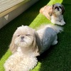 久しぶりに日向ぼっこ