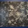 JACK WHITTEN　THE MESSENGER（１４）会場正面で展示されている、展示タイトル作品、つまりメイン作品！ ＠MoMA（ニューヨーク現代美術館）N Y