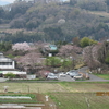 秦野　転　天気　　最高気温20度　☀晴れ