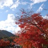 京都の紅葉2020、見頃や時期。名所や穴場も掲載。