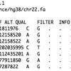 Structural variationsのシミュレーター SVGen