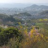 【宇都宮から仙台まで歩いてみる】４日目（２０２５年４月１９日）；福島県郡山→福島県福島（約５０ｋｍ）