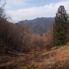 小倉山（山梨県）にザゼンソウを見に行きました：初心者の関東近郊ハイキング