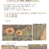 神原町花の会(花美原会)(５０９)     １０月１日花畑の雑草、整理を行います