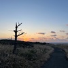 三原山の風景  - キャンプツーリングday4 -