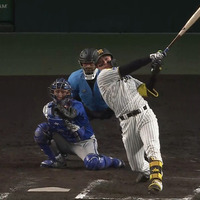 naporitanudonのサーフィン