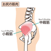 股関節を安定させる小殿筋：筋トレやストレッチを紹介！小殿筋のトレーニングで足が軽くなる！