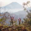 猿焼山(城ヶ丸・東峰)　エビラ沢ノ頭　パラジマノ頭　今倉山　松山(赤岩)　中ノ沢ノ頭　道志二十六夜山