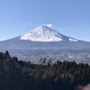 大晦日　その十五