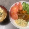 【同棲2人暮らし】自炊記録🌟【夜ごはん】