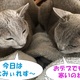 急に寒くなったので・・