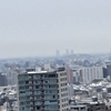雪見酒はたのしめるけれども、降ったあとの雪かきはちょっとたいへんです！