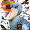 鳥　新訂版(講談社の動く図鑑MOVE）