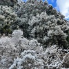 冷えとり講習会 当日！大寒波襲来⛄⛄⛄