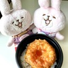 チェンマイMAYA近くのおかみさん食堂のアレとあれで”タイ風天丼”を食べたんだけど・・・Σ(￣ロ￣lll)ｶﾞｰﾝ
