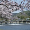 番外編：桜の京都