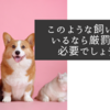 このような飼い主がいるなら厳罰化は必要でしょうね