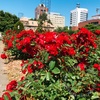 札幌の大通公園は１２丁目のサンクガーデンゾーンが