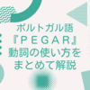 ポルトガル語動詞『pegar』の13の使い方をまとめて解説！よく使う動詞だから確実におさえよう。