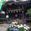 紫陽花の咲く風景②『白山神社と第41回文京あじさいまつり』