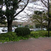 ２０２１／０４／０３　小室公園