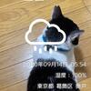 霧雨