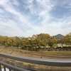「広角レンズ」で！「市民ふれあいミニガーデン」終了