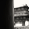 薬師寺講堂の木柱と金堂