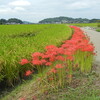 明日香・奈良家族旅行（第一日）