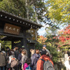京都の紅葉2013～常寂光寺（1）