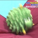 ふわりのこと