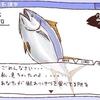 ゲーム：ガールフレンド（魚）