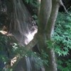 梅雨明けて