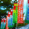 2014 宮島クロスカントリー vol.1＜壮年パワー＞篇。