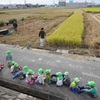 大野幼稚園　ダルたんで稲刈り