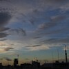 🌄早朝のスカイツリー！