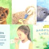 ティールグリーン「よしだるみのどうぶつのかぞくえほん原画展」もうすぐ！