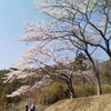 快晴 勝尾寺～妙見山～大野山～野間峠