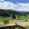 金運アップ、新潟県長岡市『高龍神社』に行ってみた！