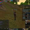 Lineage II その224