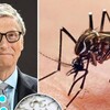 ネッタイシマカが世界中で致死性のウイルスを拡散させており、CDCは米国渡航者に対し「レベル2」の注意喚起を発令しました。